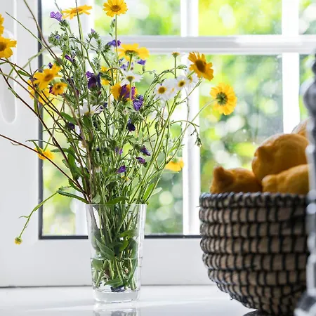 펜션 Casa Do Adro 이다나아노바